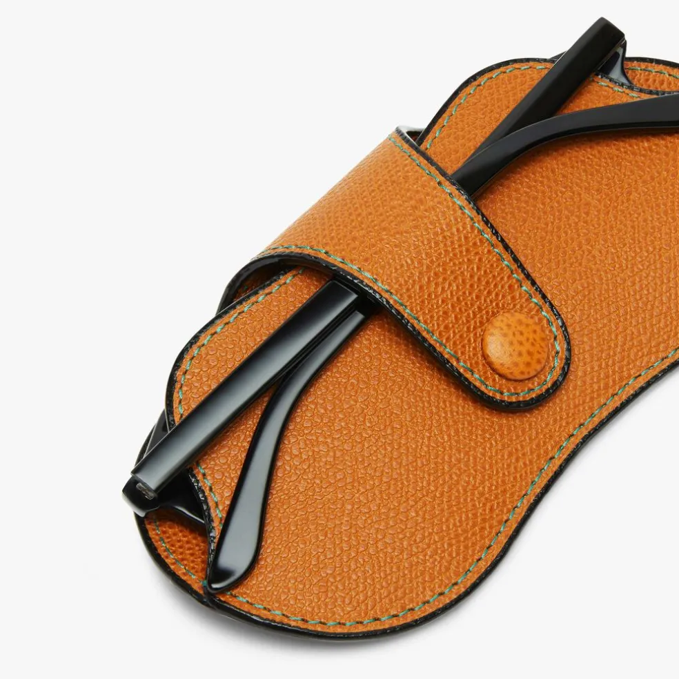 Glasses Case