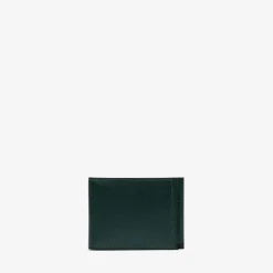 Grip 6cc Wallet With Botton